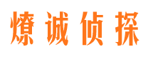 洛扎出轨调查